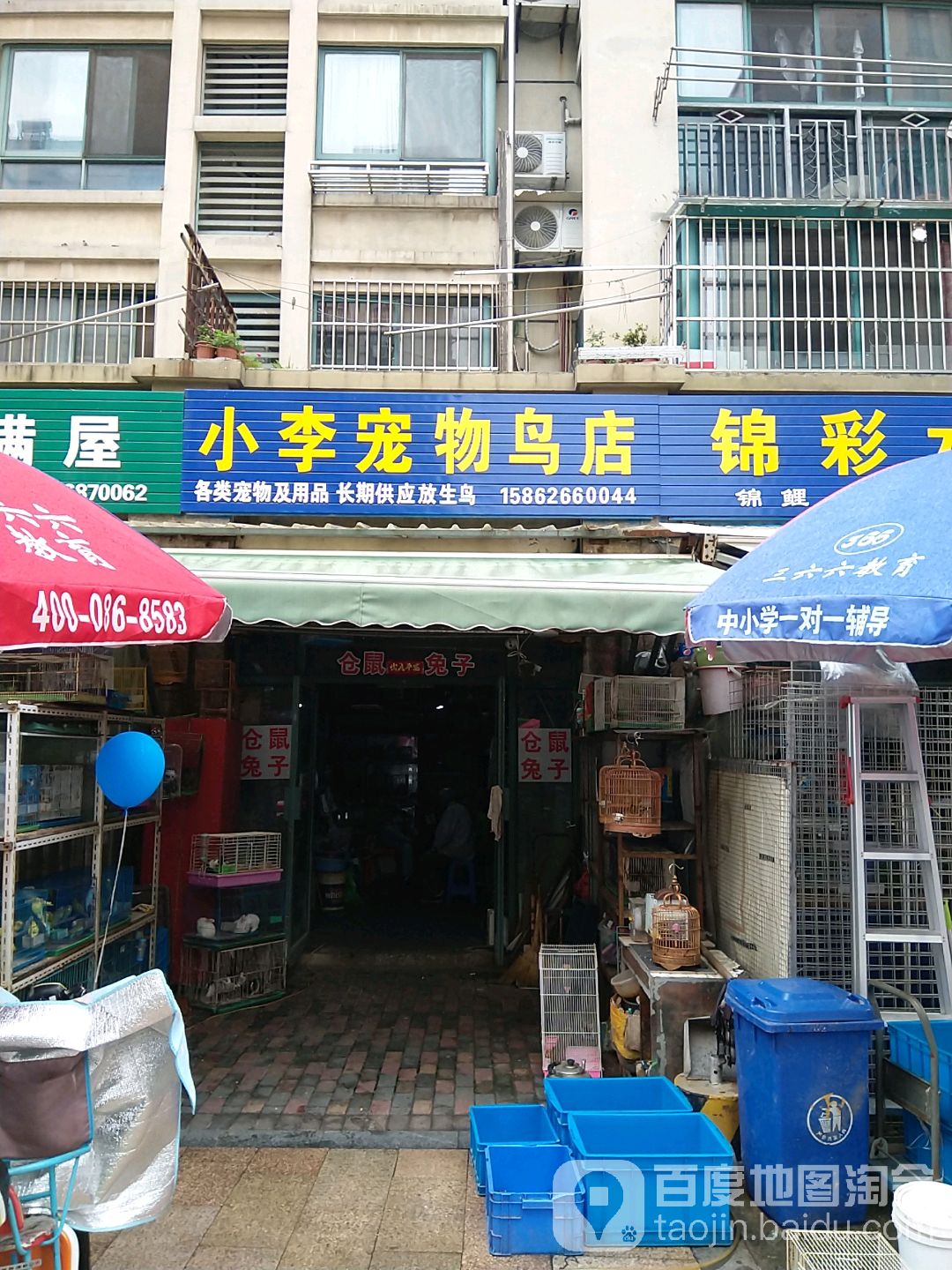 小李宠物鸟店