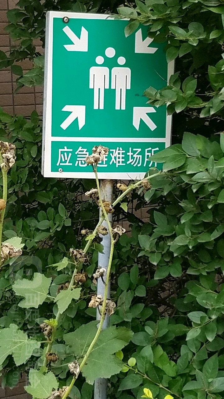 应急避难场所