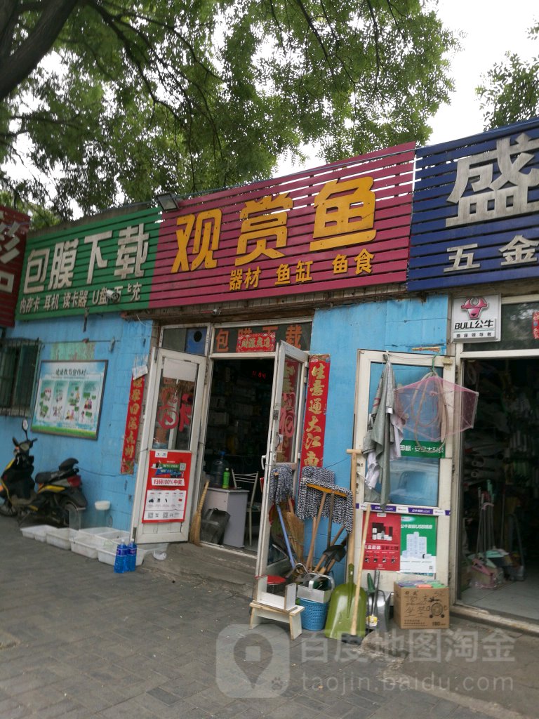 手机配件观赏鱼
