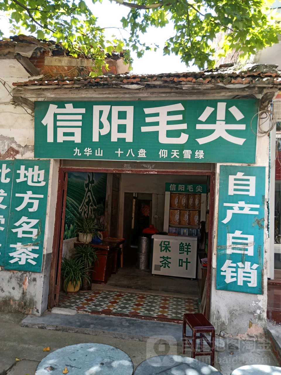 固始县草庙集乡信阳毛尖(朝前路店)