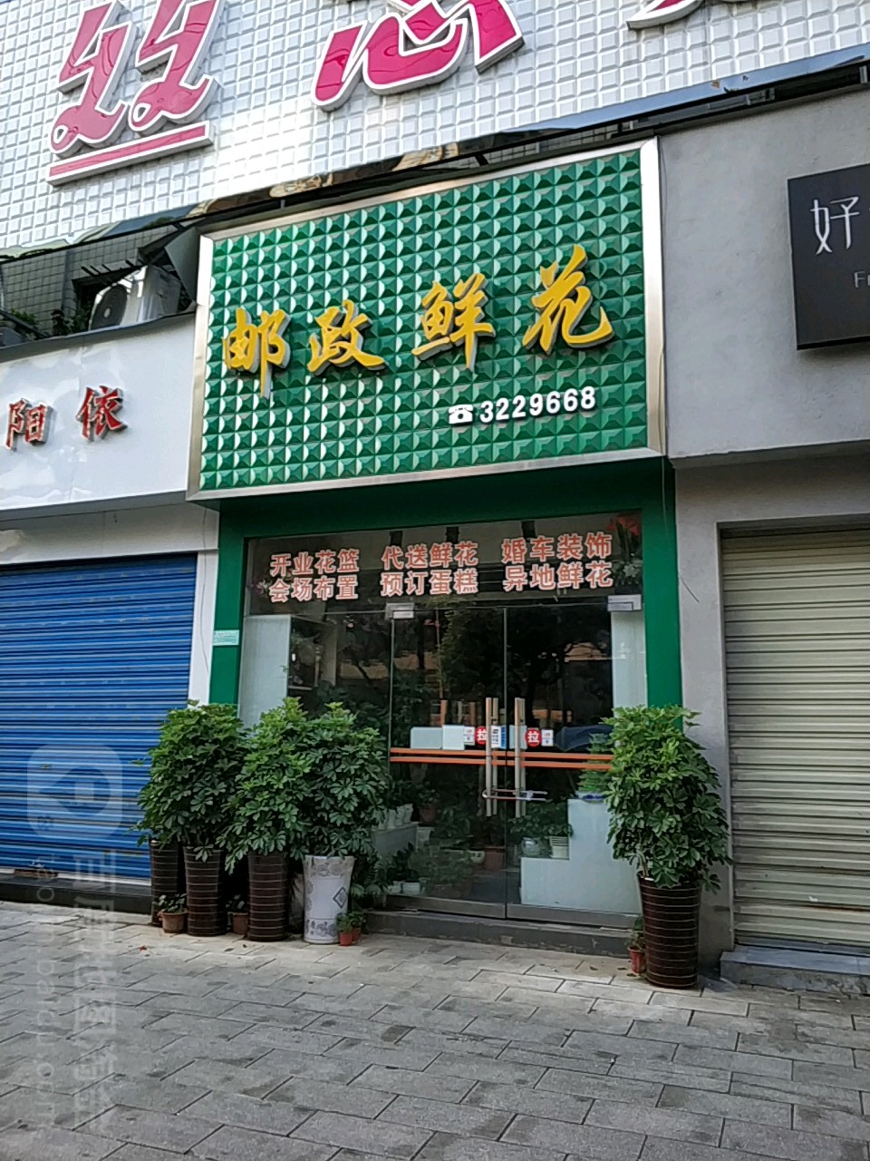 邮政鲜花(笔架路店)