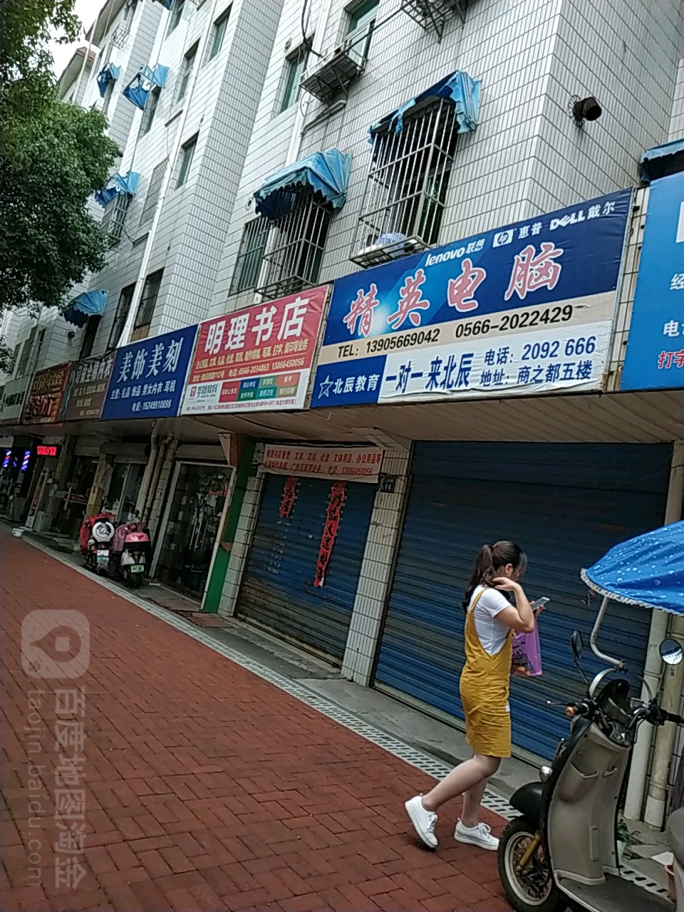 明理书城