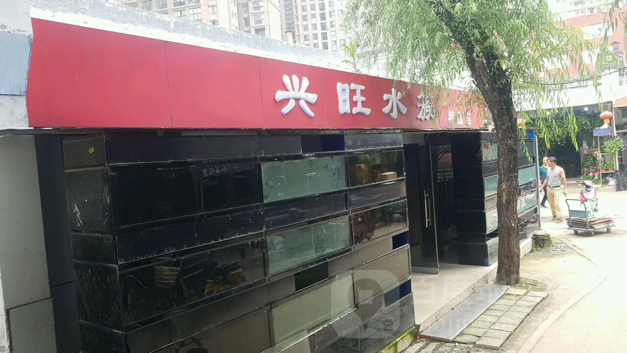 兴汪水族馆