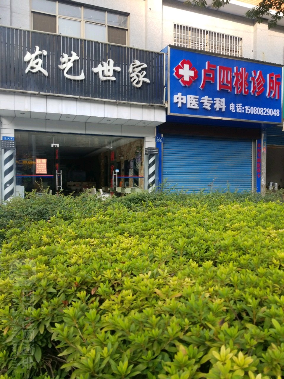 发艺世嘉(早元街店)