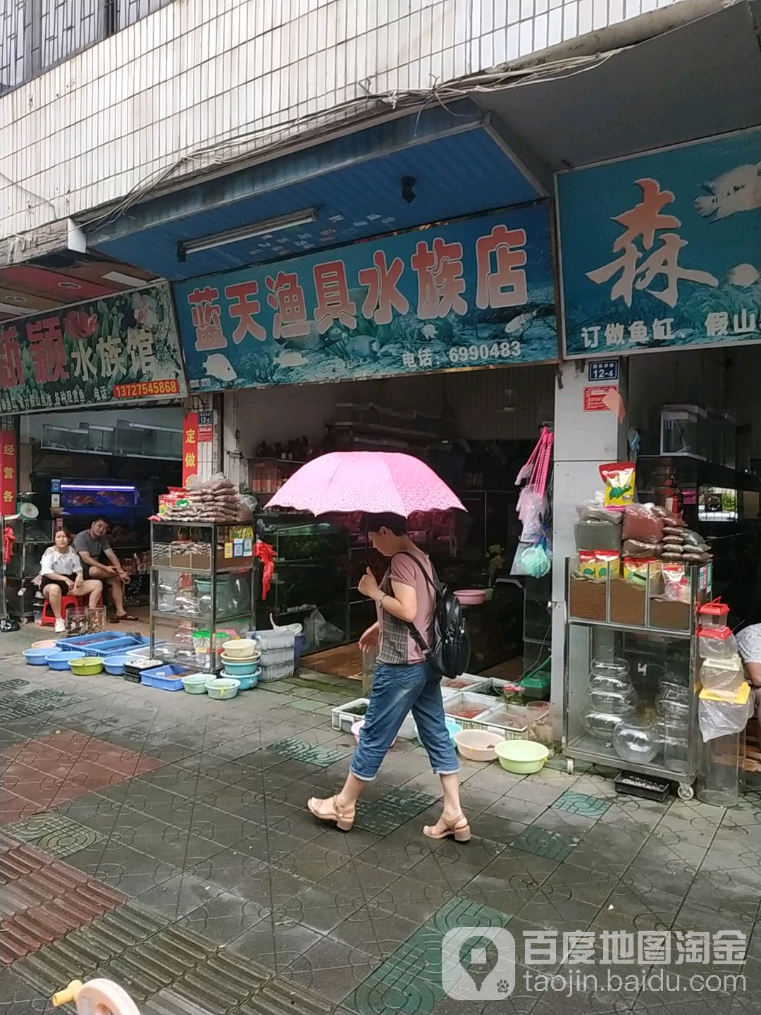 蓝天湖渔水族店