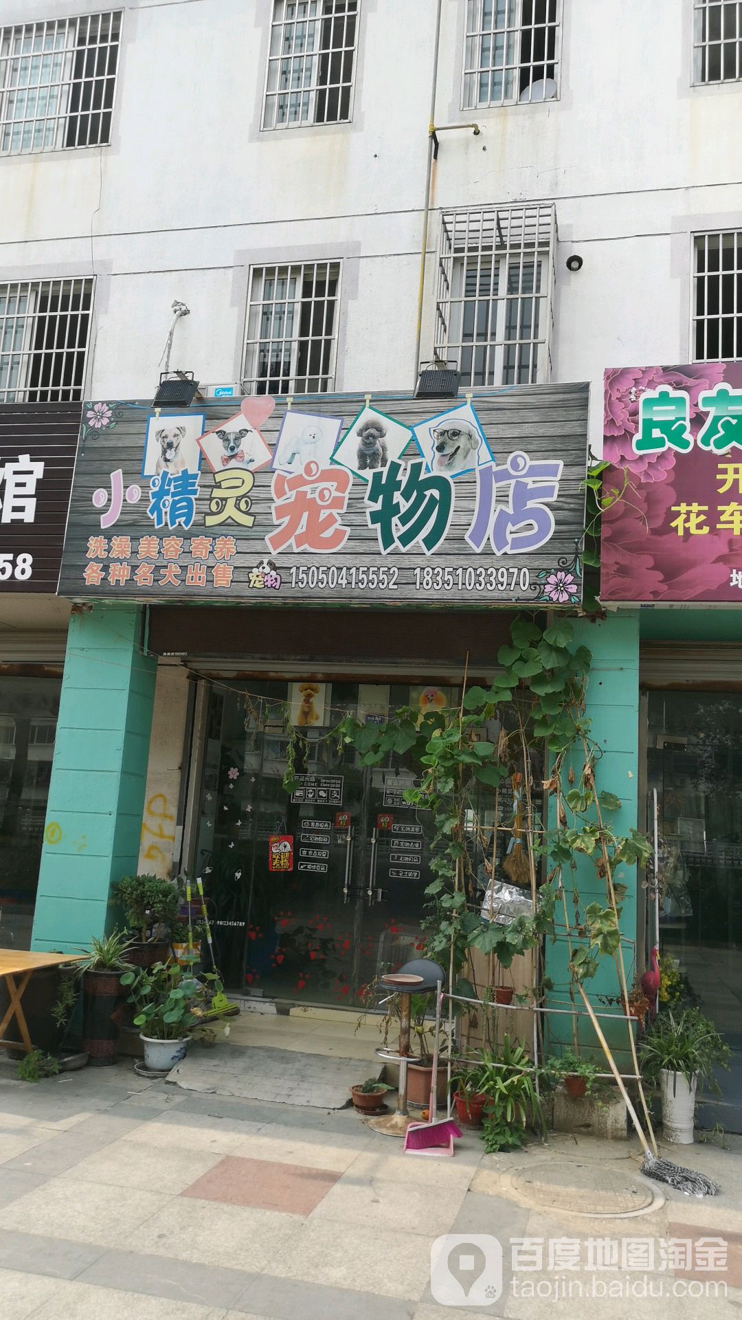 小精灵宠物店