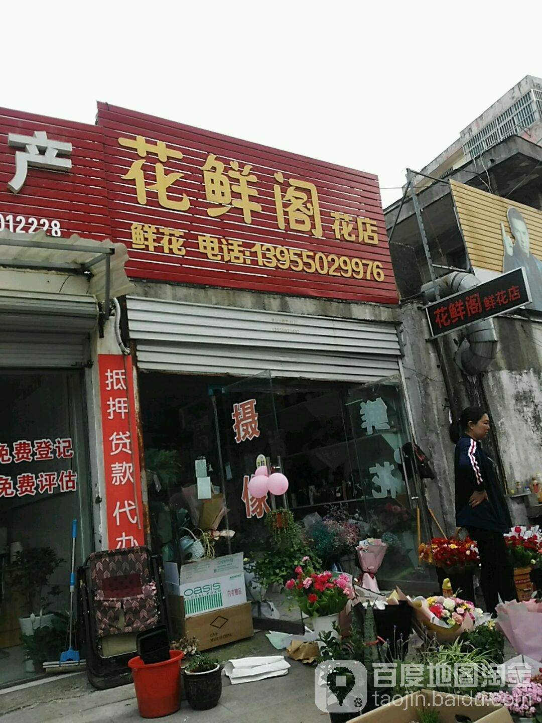 花鲜阁花点