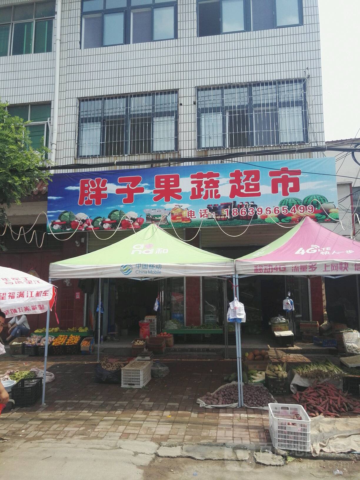 汝南县胖子果蔬超市(汝宁大街店)