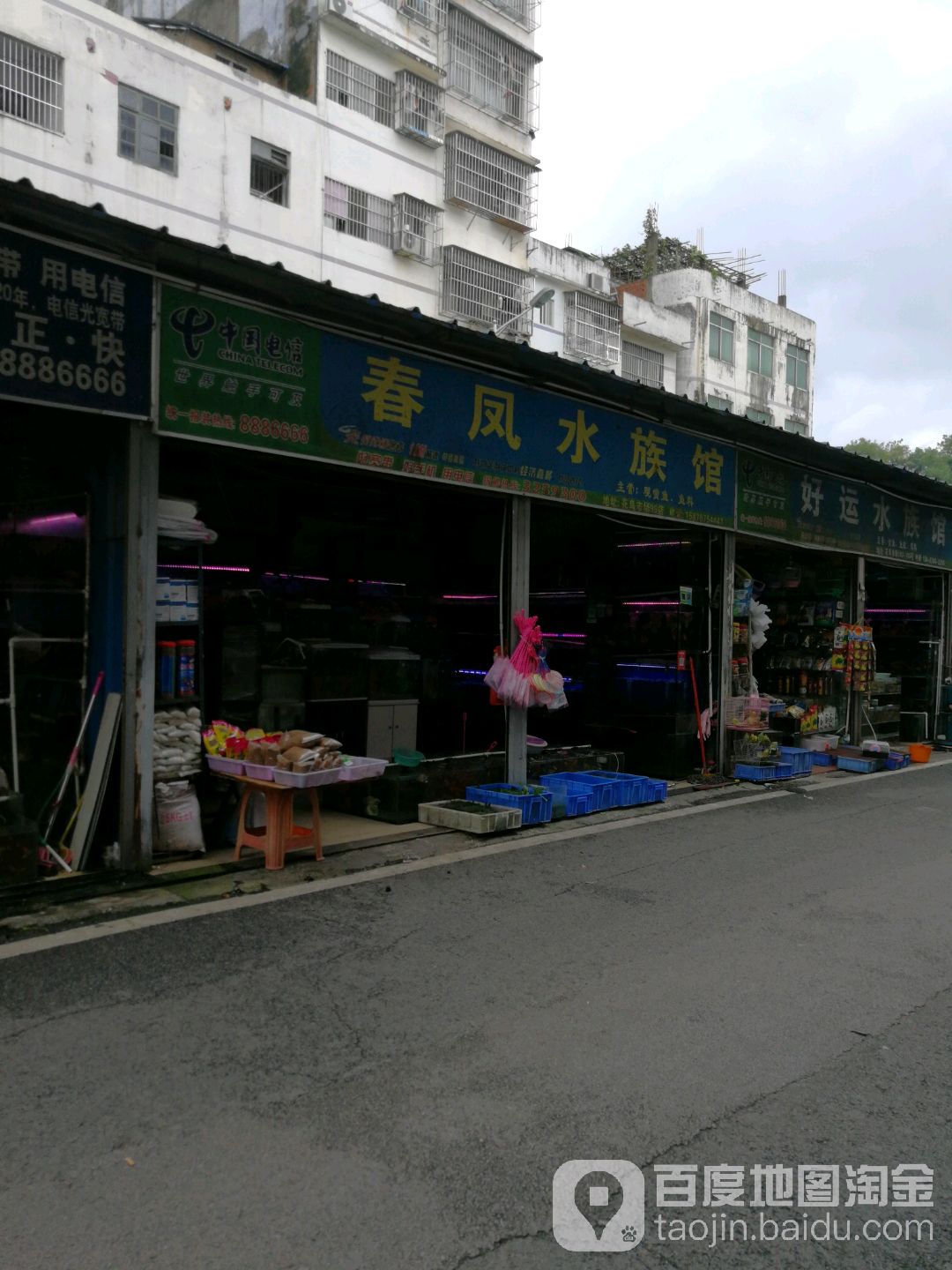 春凤水族馆