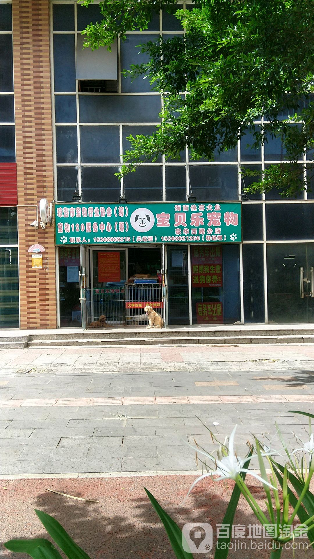 宝贝乐宠物博鳌养犬场(豪华西路分店)