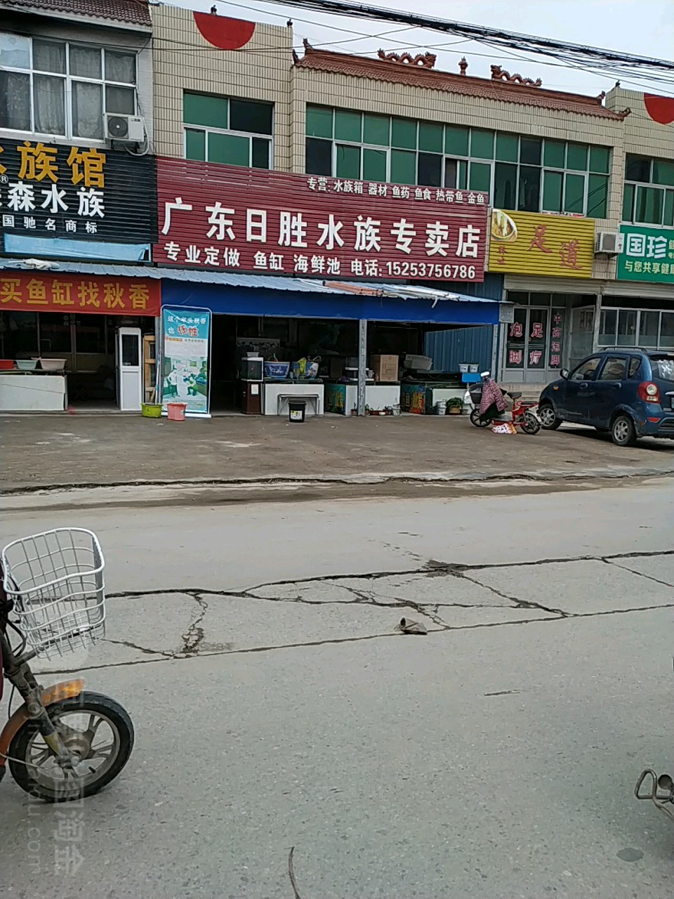 广东日胜水族阿专卖店