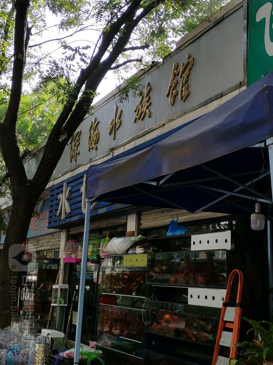 深海水族馆