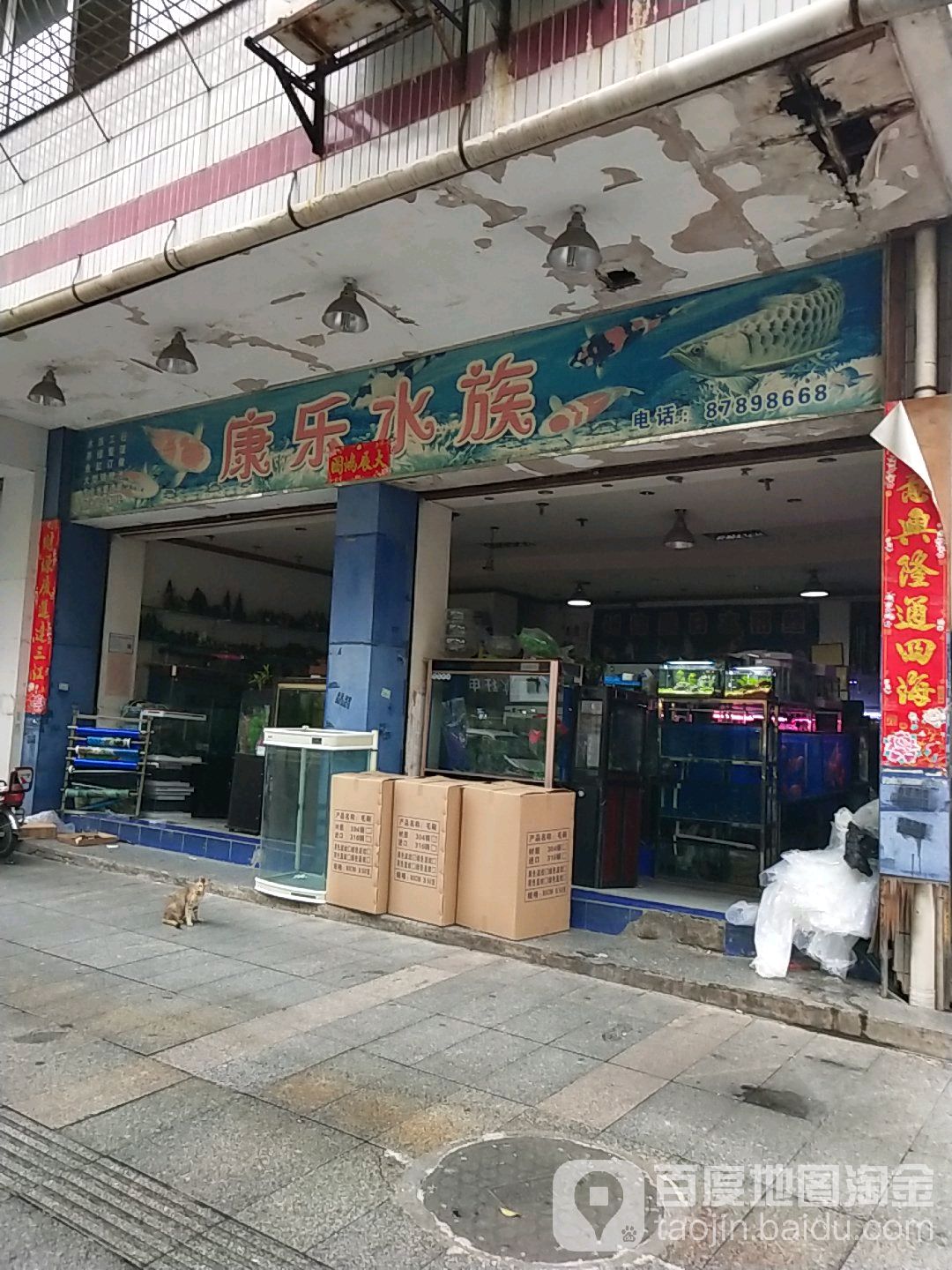 康悦水族