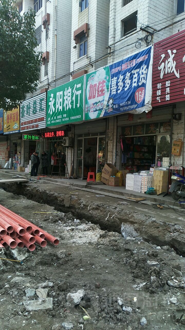 茶叶总汇