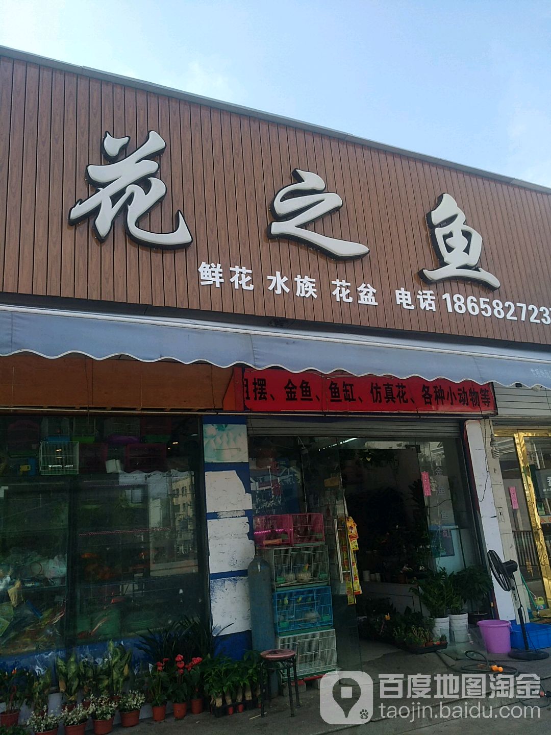 花之鱼鲜花水族