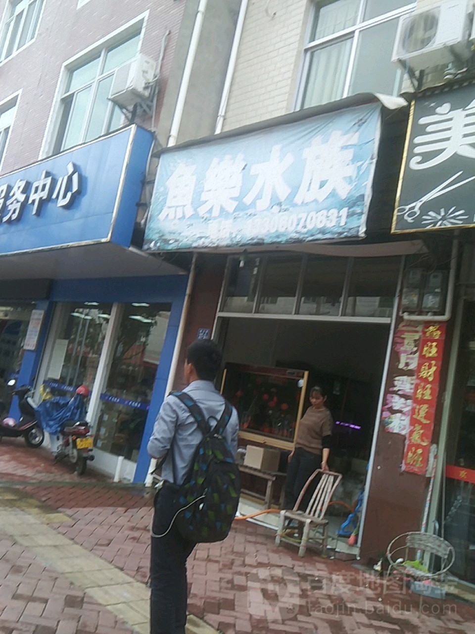 鱼乐水景