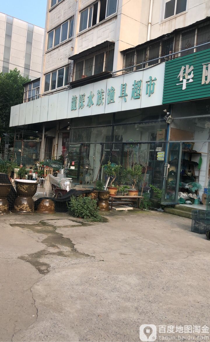 龙深水族鱼具超市
