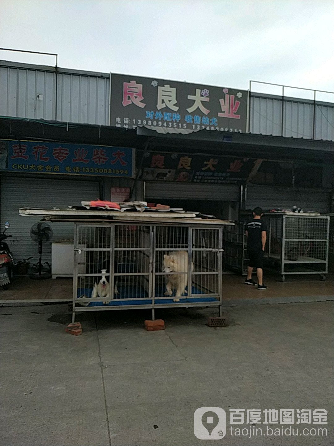 良良犬业