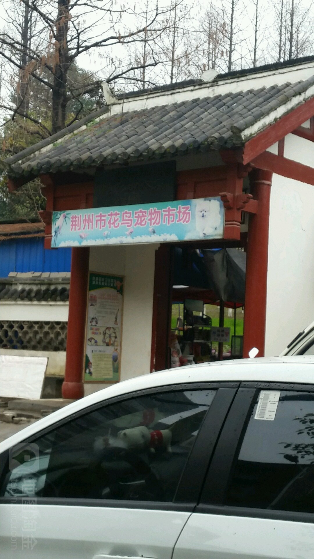 荆州市花鸟宠物市场
