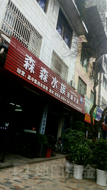 森森水族连锁专卖(万博小区店)