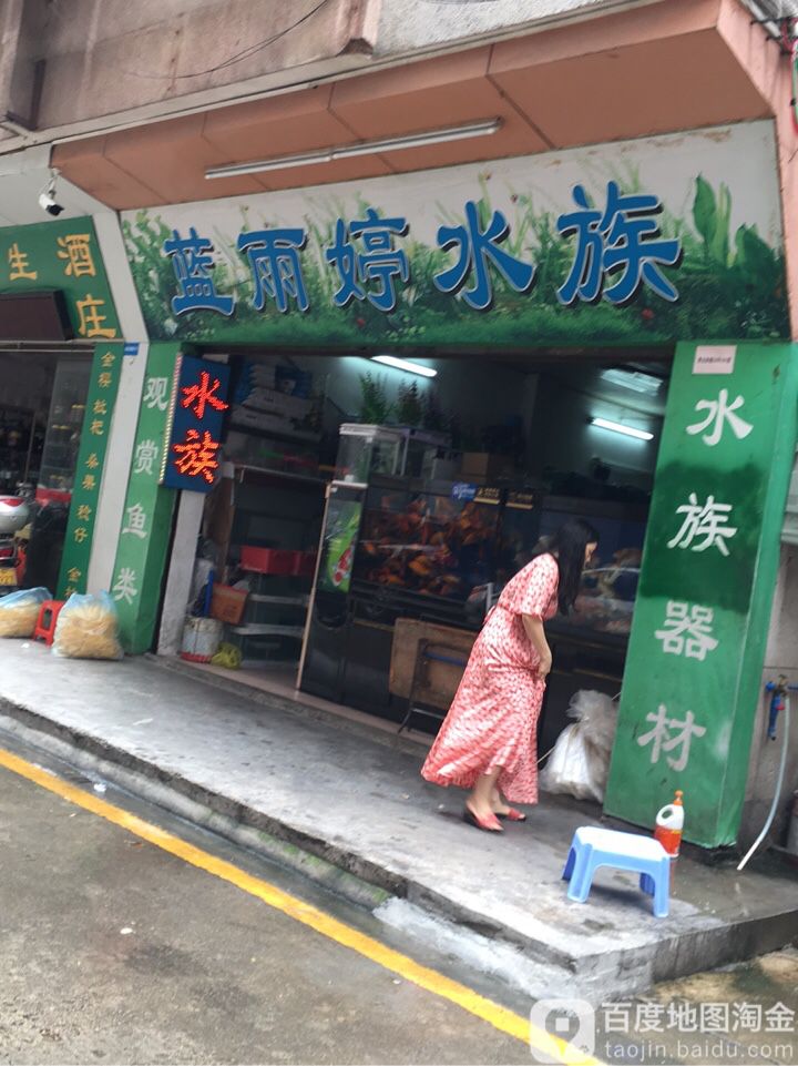 蓝雨婷水族