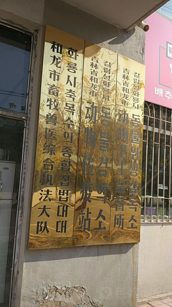 和龙市文化街派出所图片