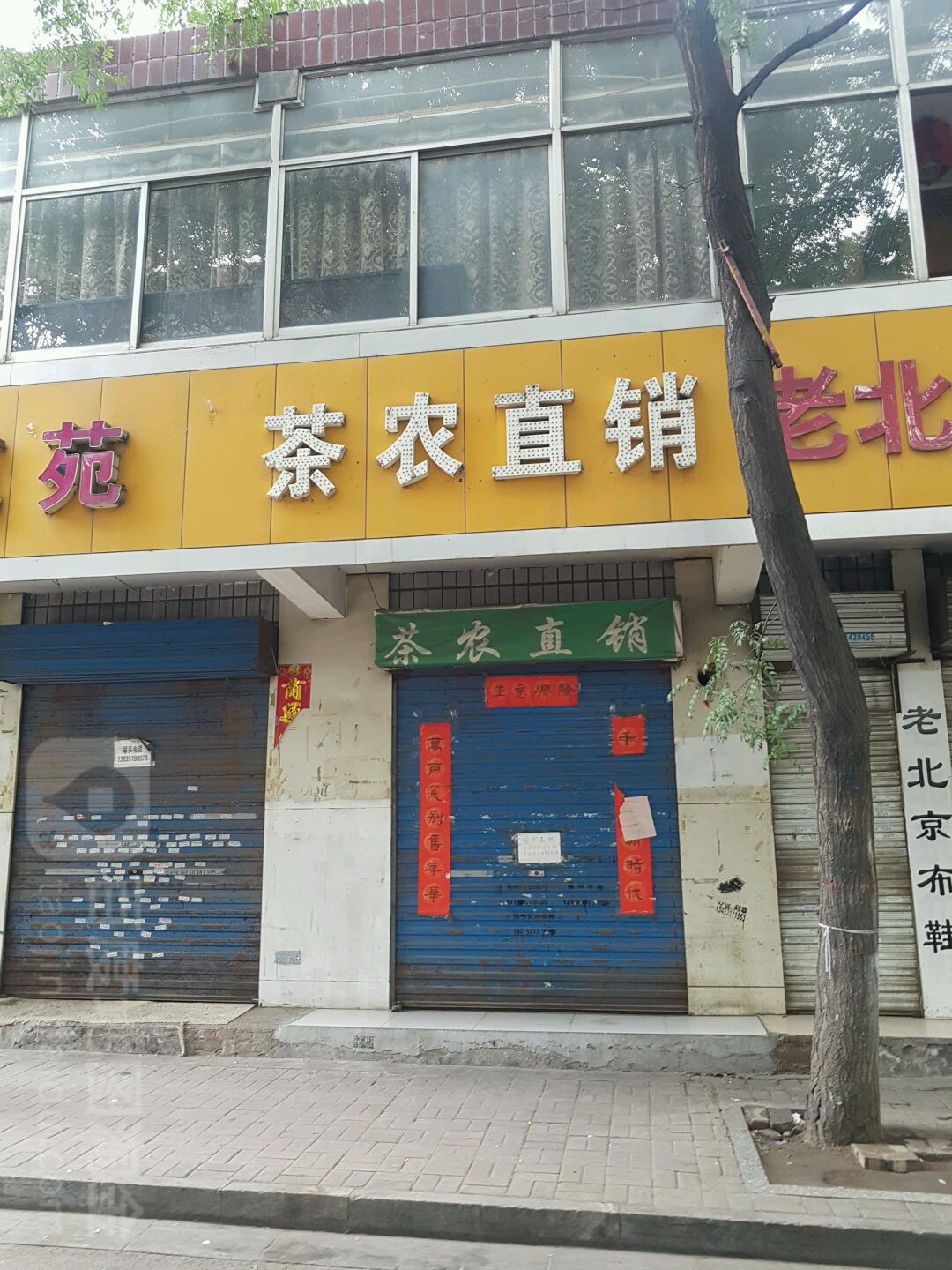 茶农直销