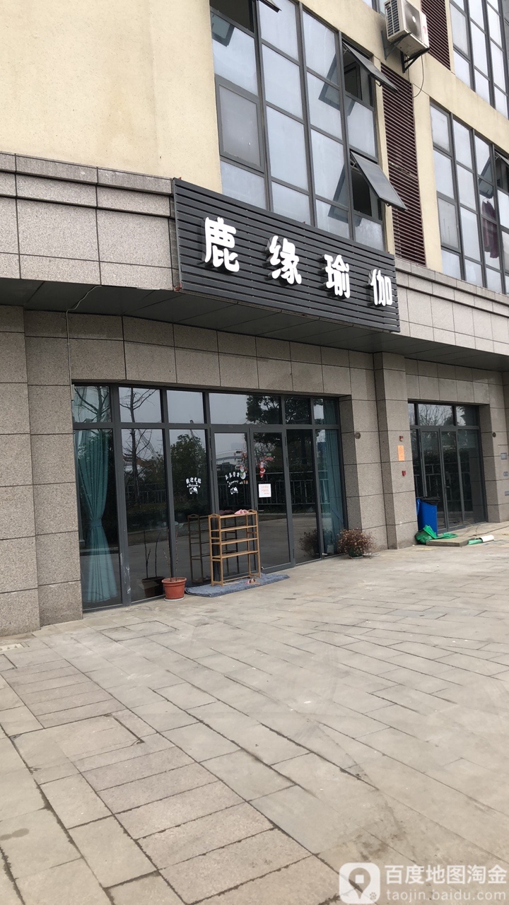 鹿缘·瑜伽(新区店)