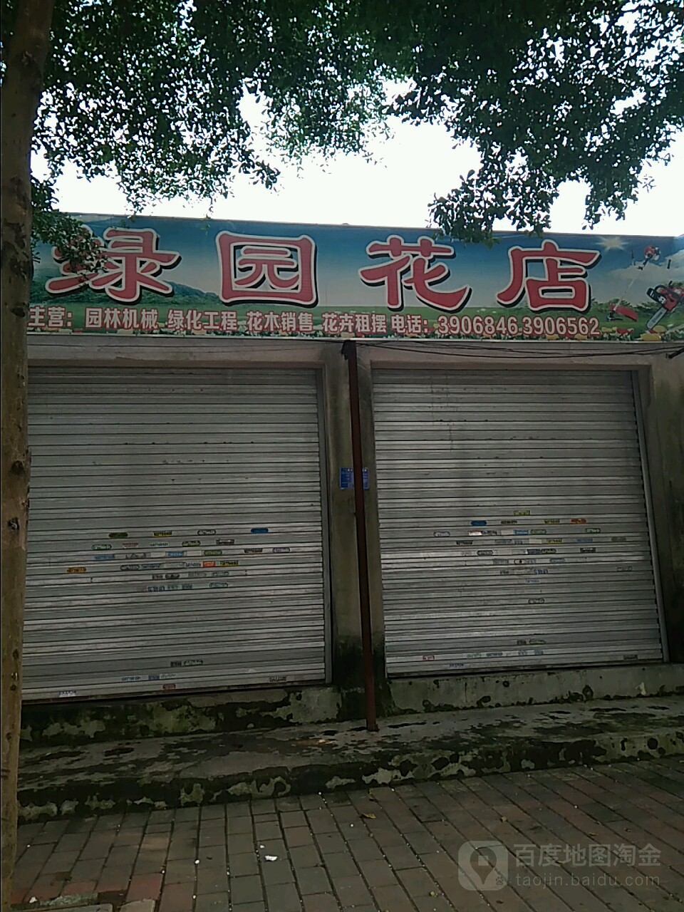 绿青园花卉(重庆路店)