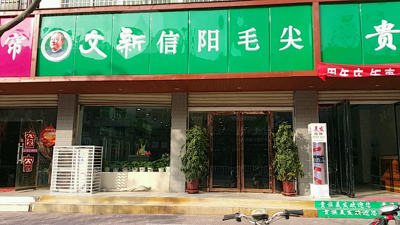 镇平县文新信阳毛尖(健康路店)