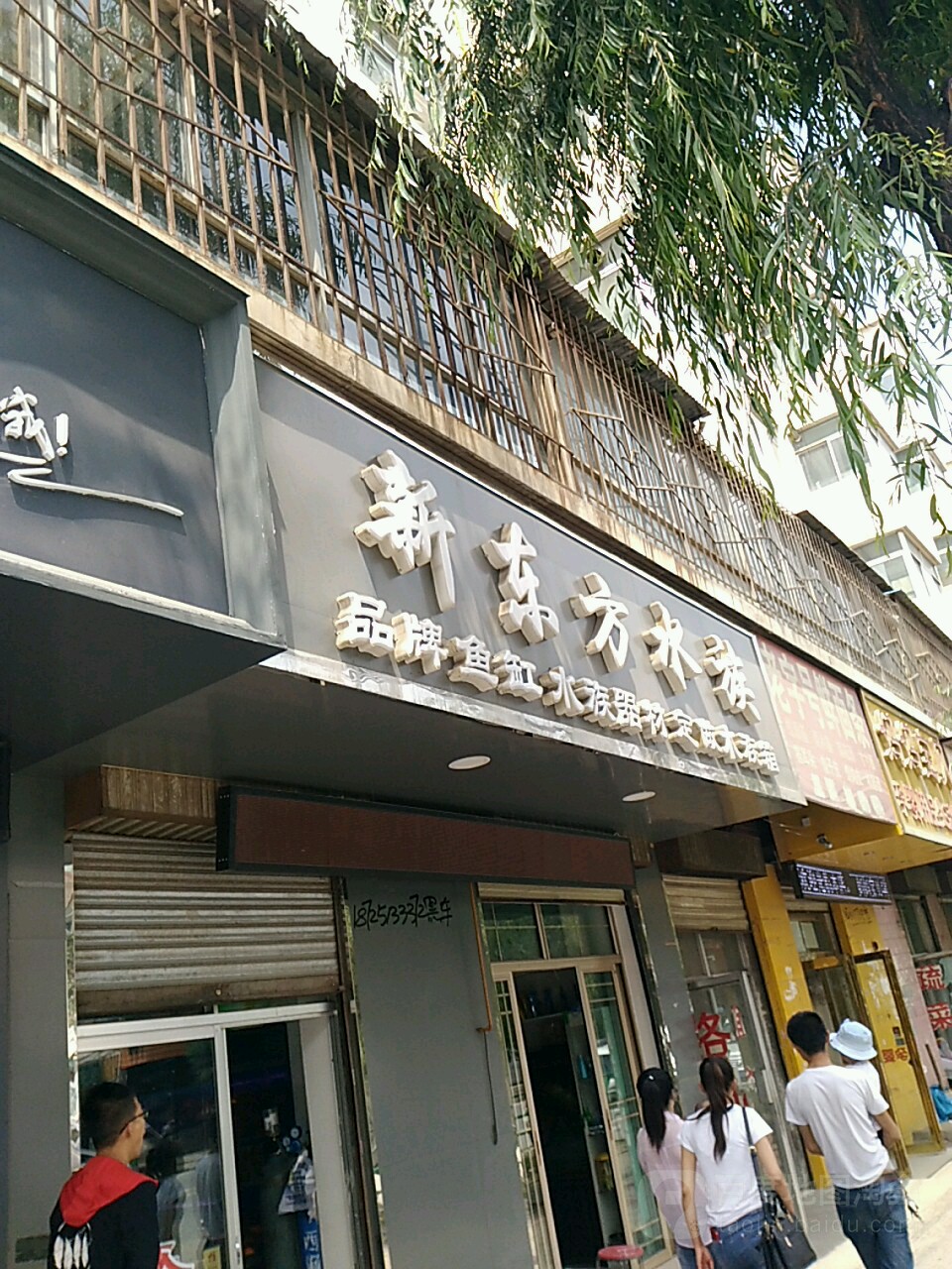 新东风水族