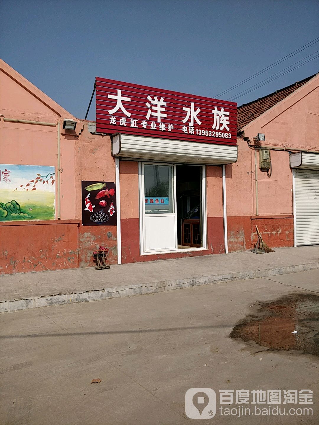 大洋水族(胜利路店)