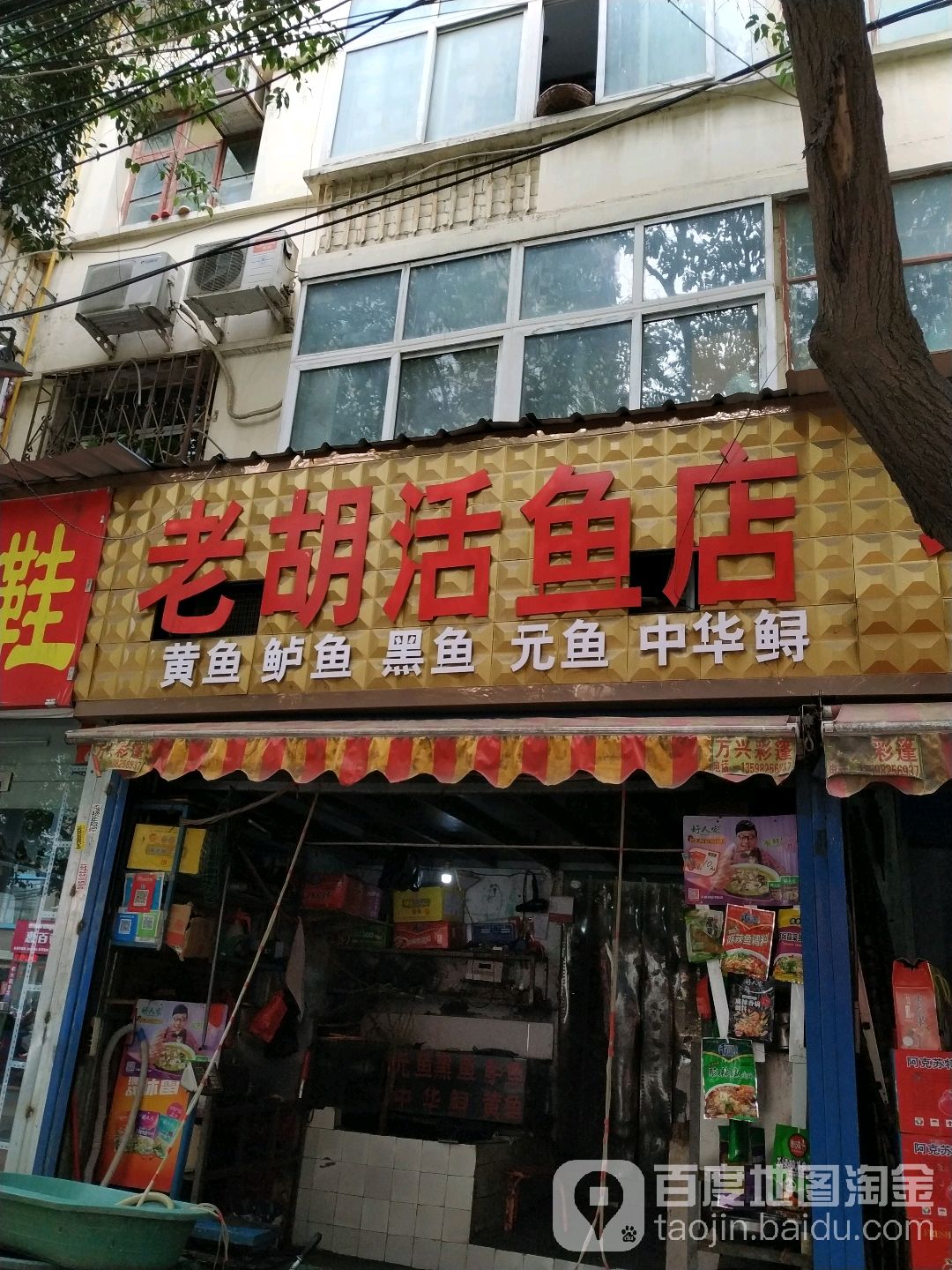 老胡活鱼店