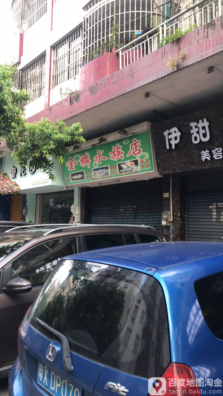 金鳞水族店