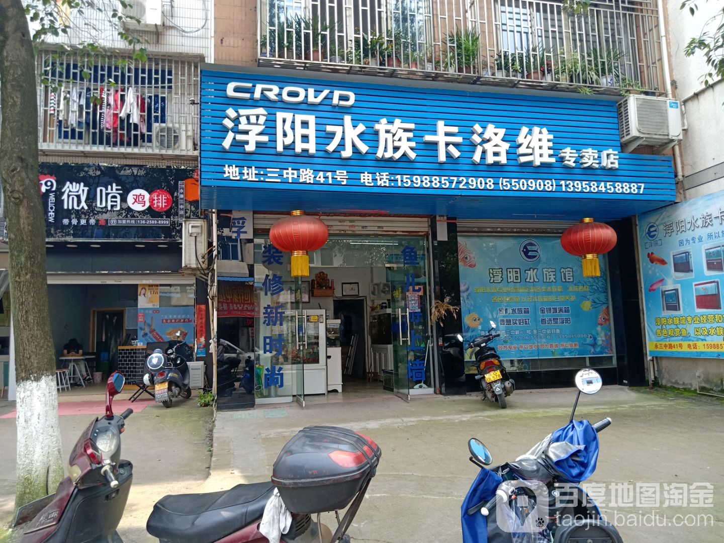 浮阳水族卡洛维专卖店