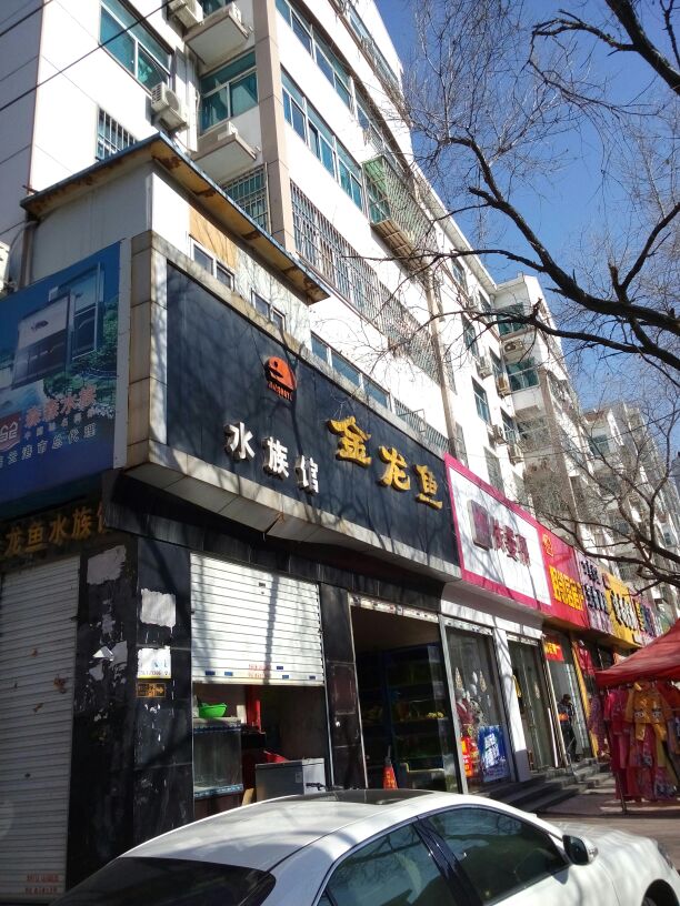 金龙鱼水族馆(青年路店)