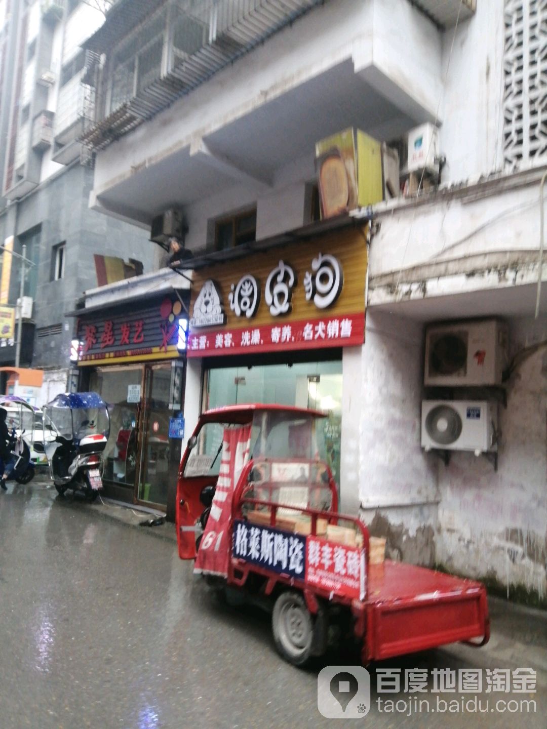 调皮狗宠物店洗澡美容