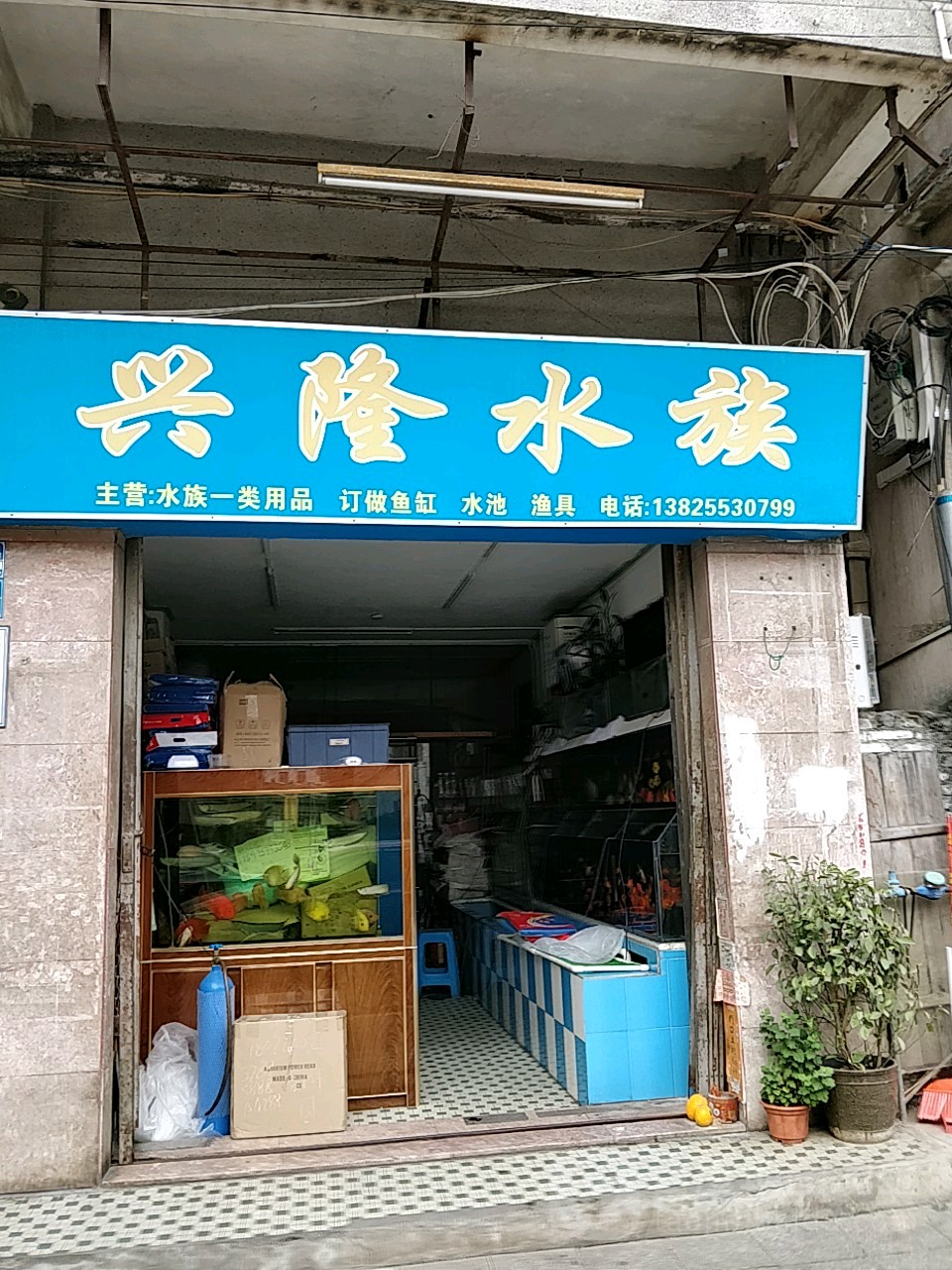 兴隆水族