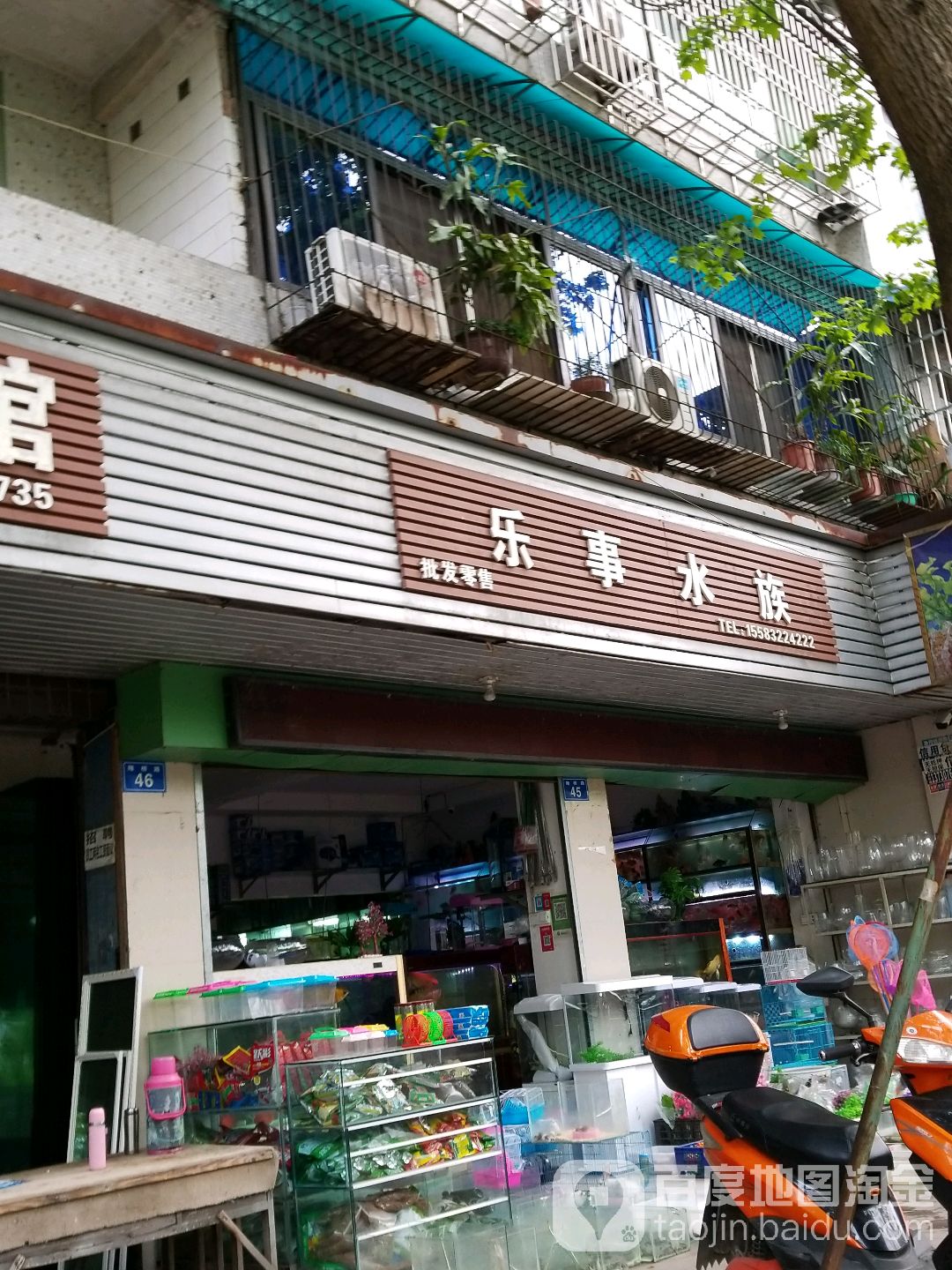 罗氏水族