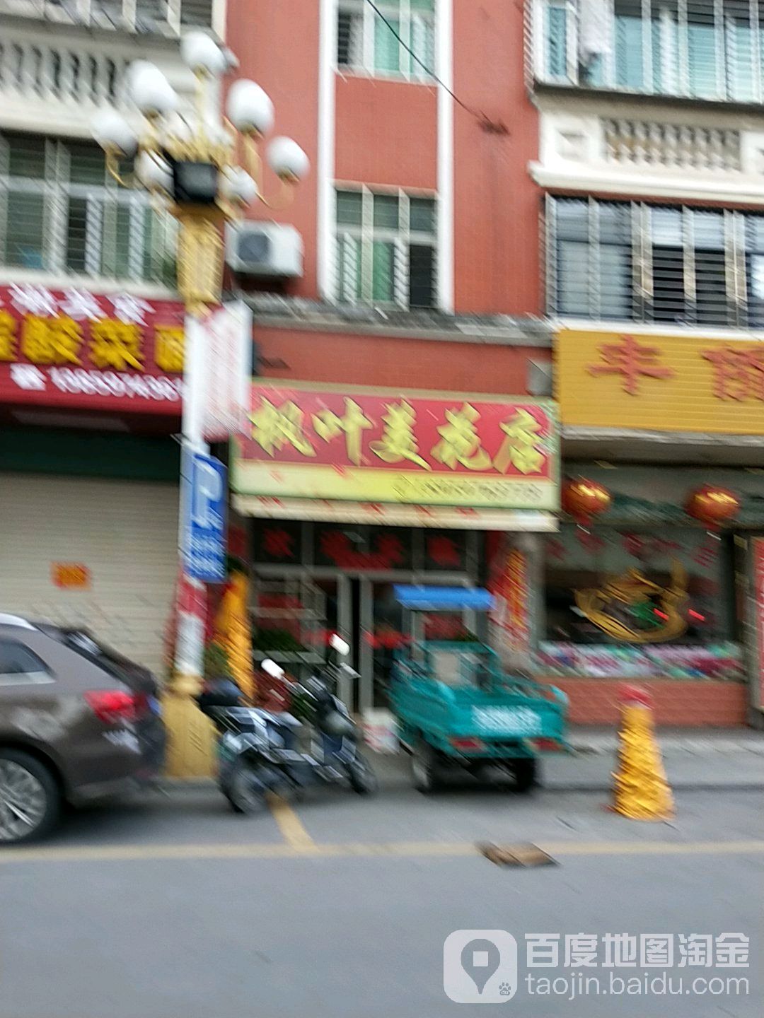 枫叶美花卉