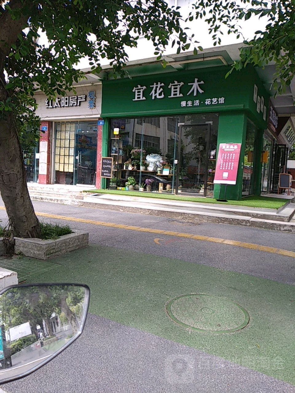 宜花宜木