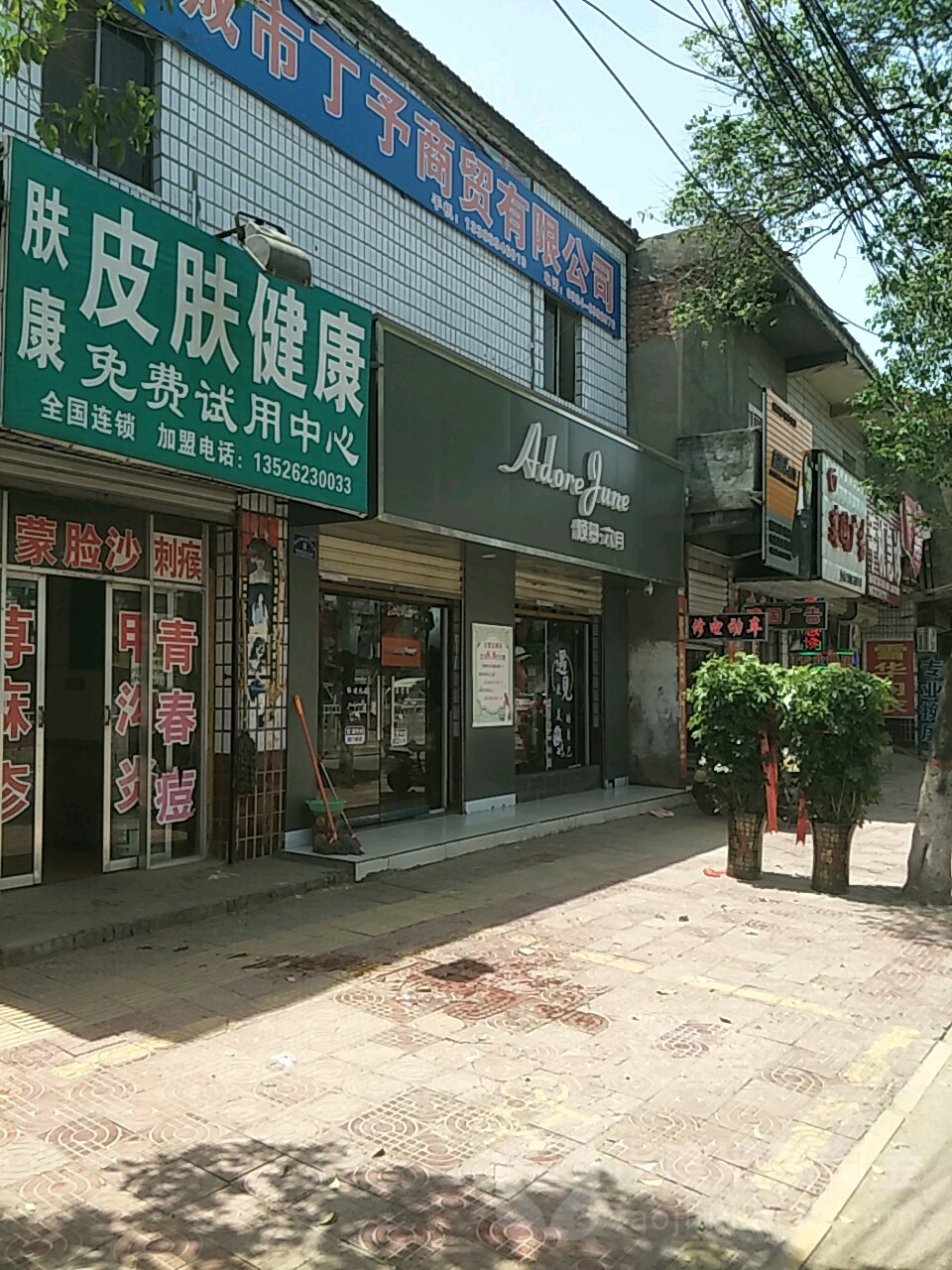 项城市倾慕六月