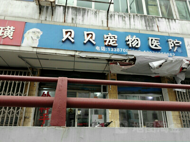 贝贝宠物诊疗中心(三店分院)