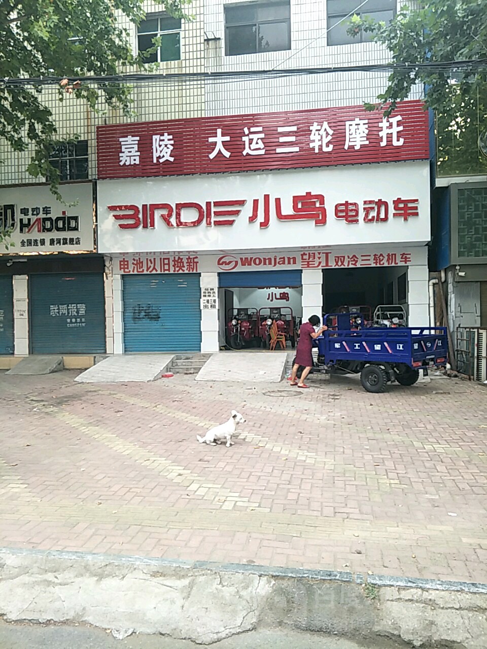 唐河县小鸟电动车(人民北路店)