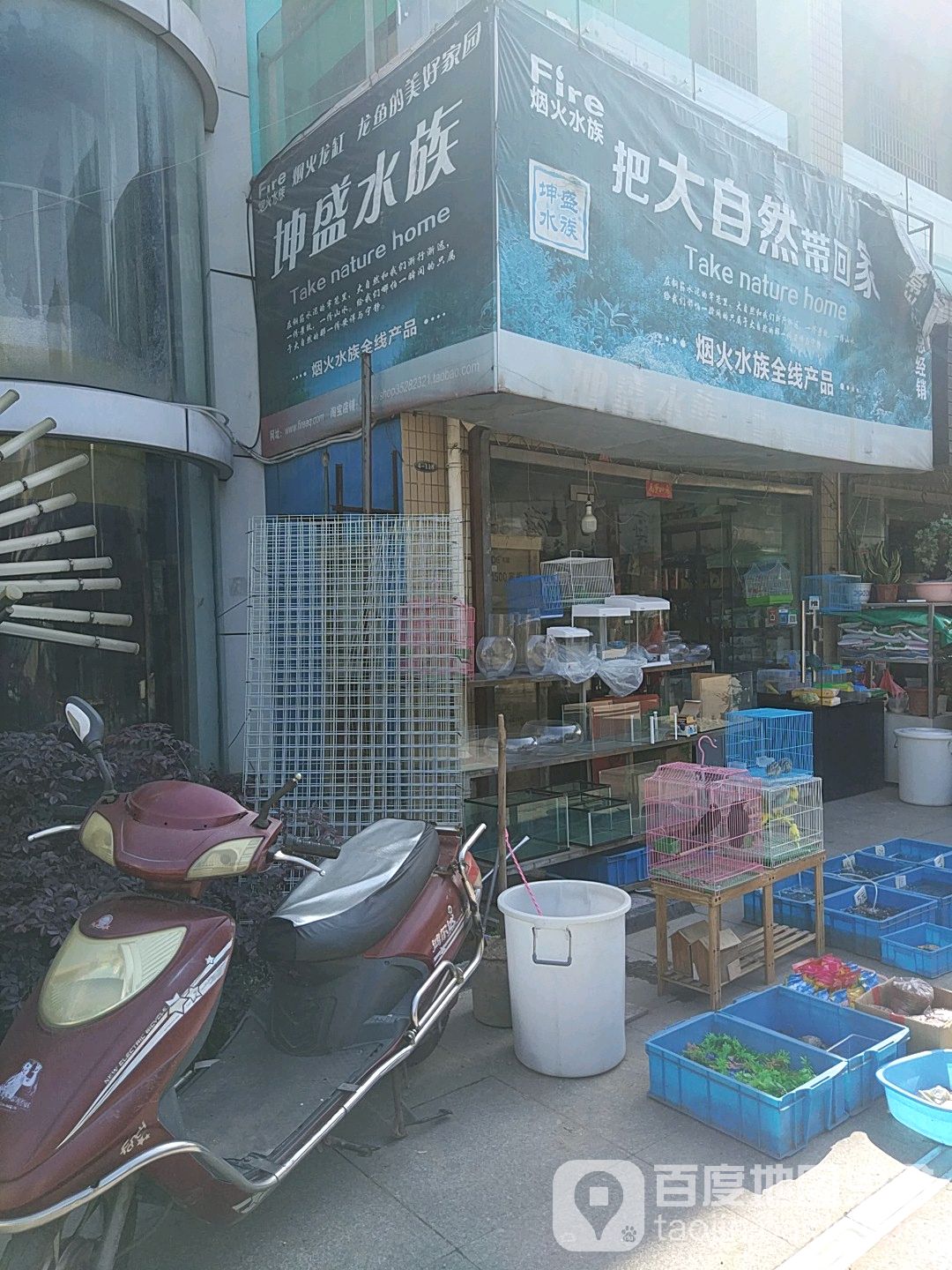 坤山水族(诺诚高第店)