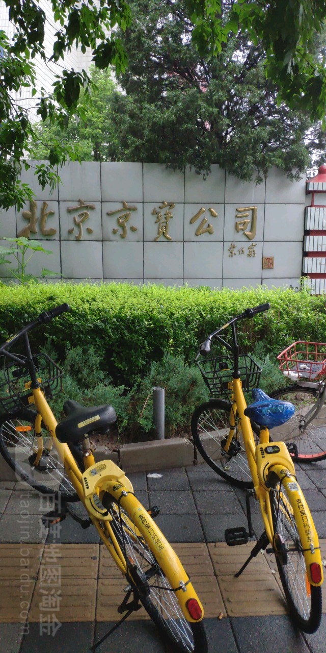 北京金宝公司