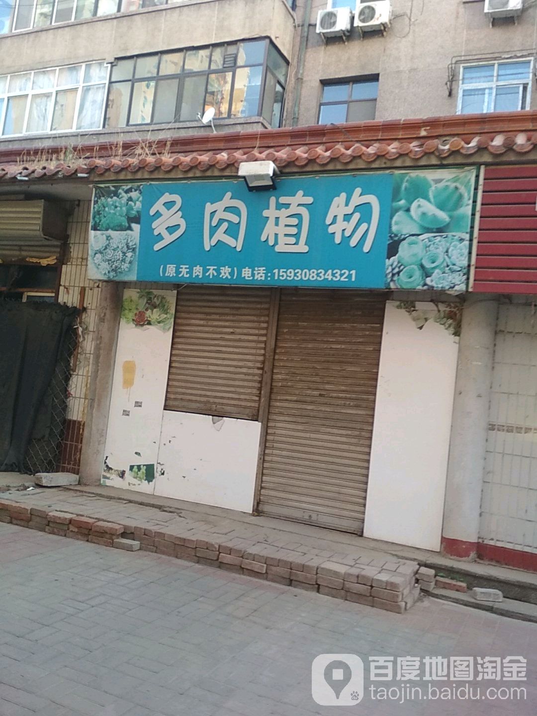 多肉植物(站前西路店)