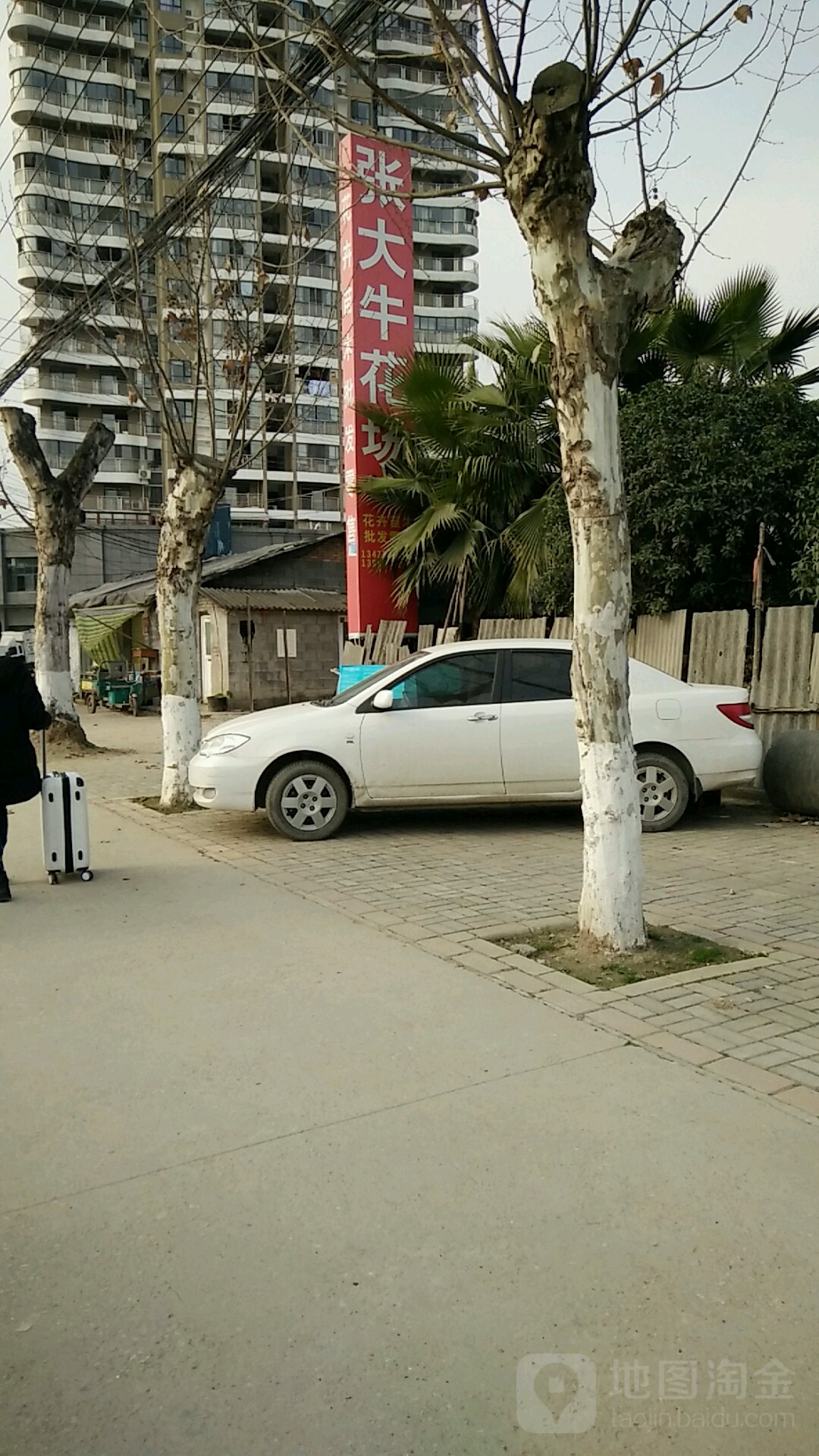 张大牛花卉批发市场