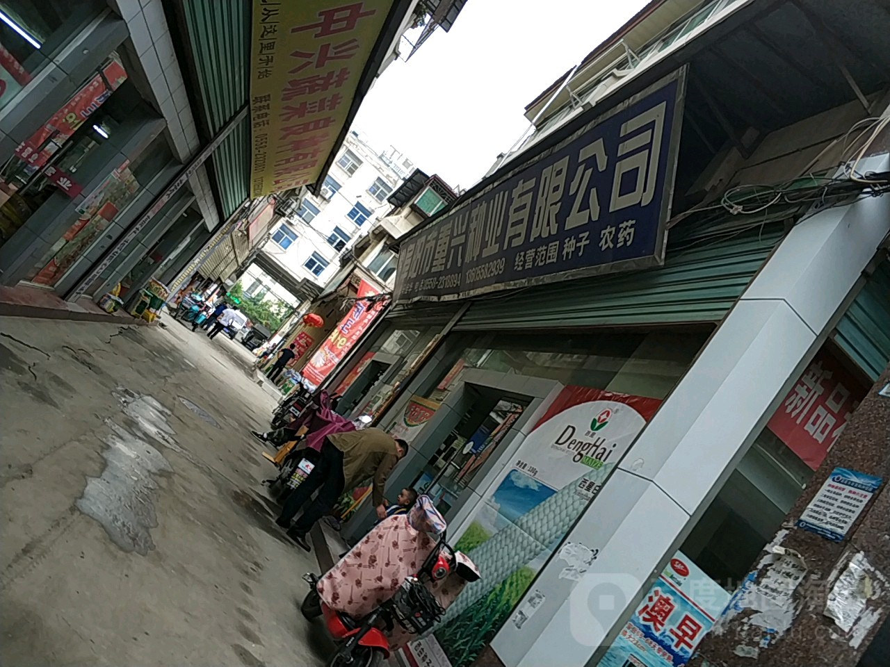 阜阳市重兴种业有限公司