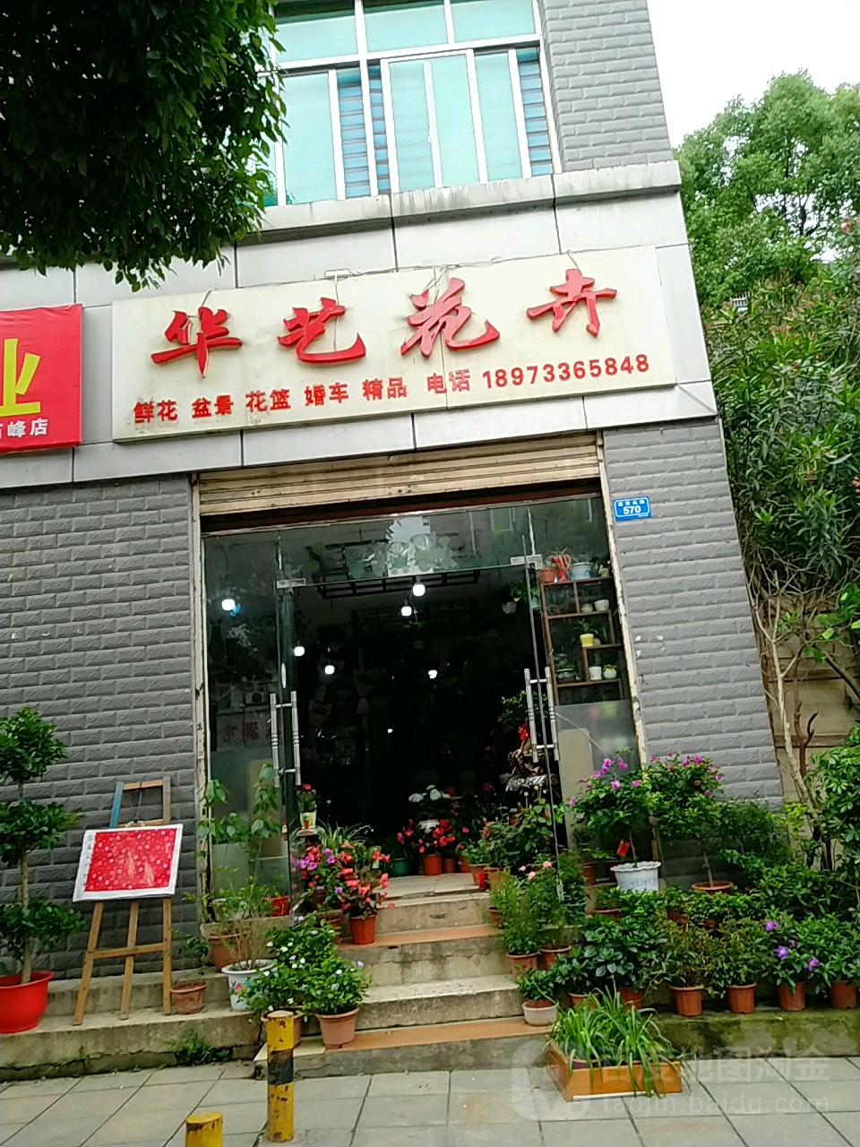 华艺花卉